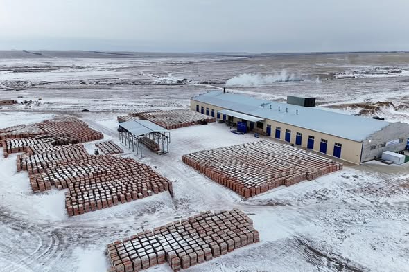 В Бородулихинском районе области Абай запущен кирпичный завод