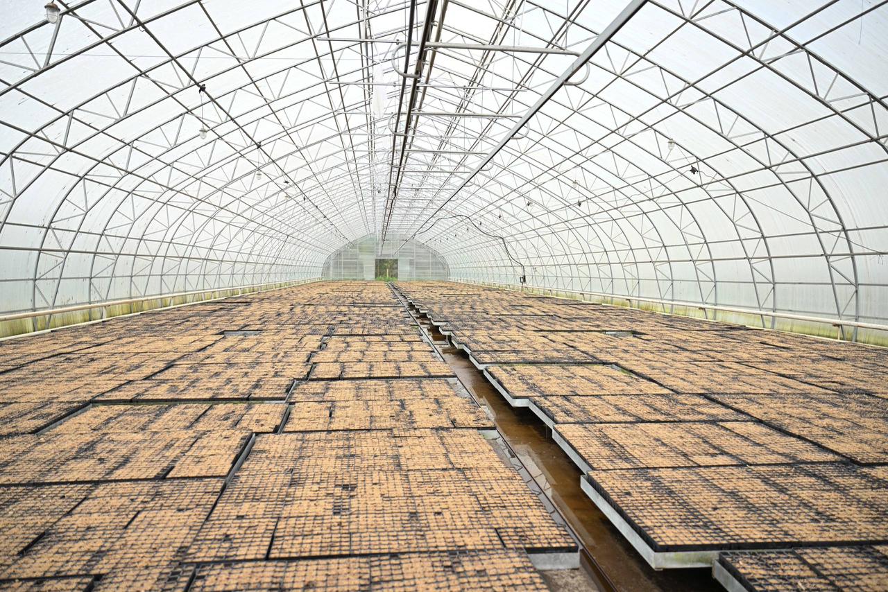 Беречь лес – обязанность каждого поколения: в Семее провели экологическую лекцию для студентов