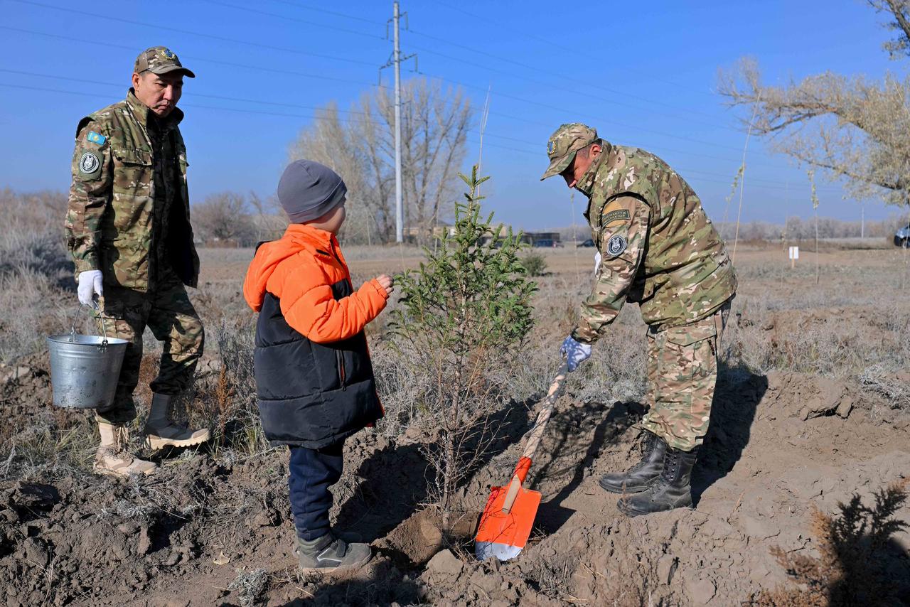 Беречь лес – обязанность каждого поколения: в Семее провели экологическую лекцию для студентов