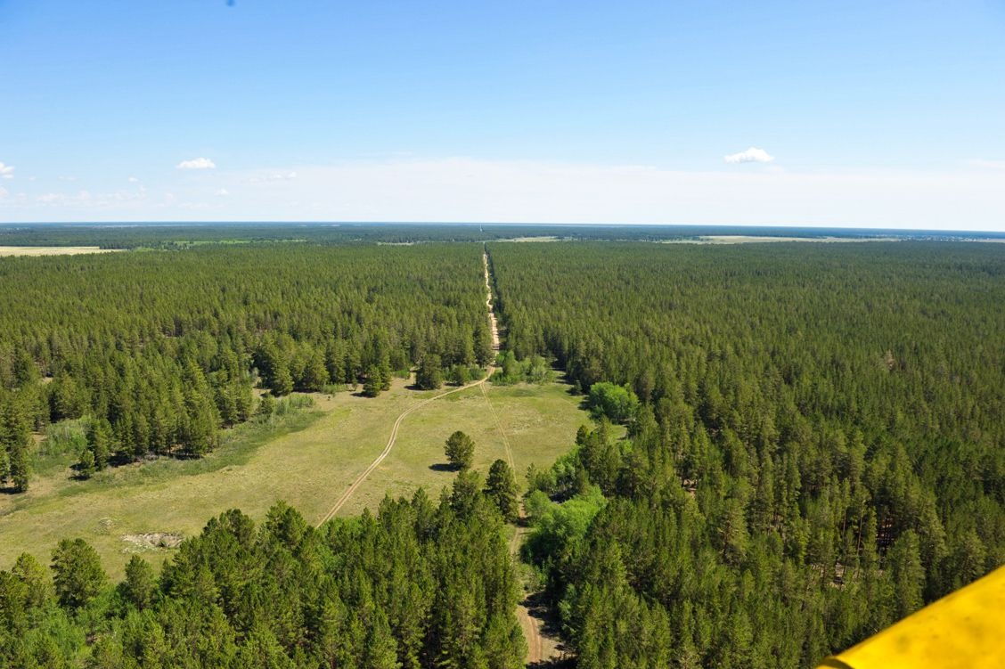 Беречь лес – обязанность каждого поколения: в Семее провели экологическую лекцию для студентов