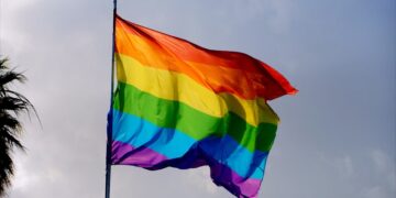 Сенат принял поправки о запрете «пропаганды ЛГБТ» в первом чтении