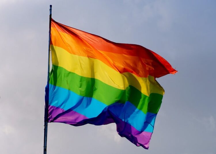 Сенат принял поправки о запрете «пропаганды ЛГБТ» в первом чтении