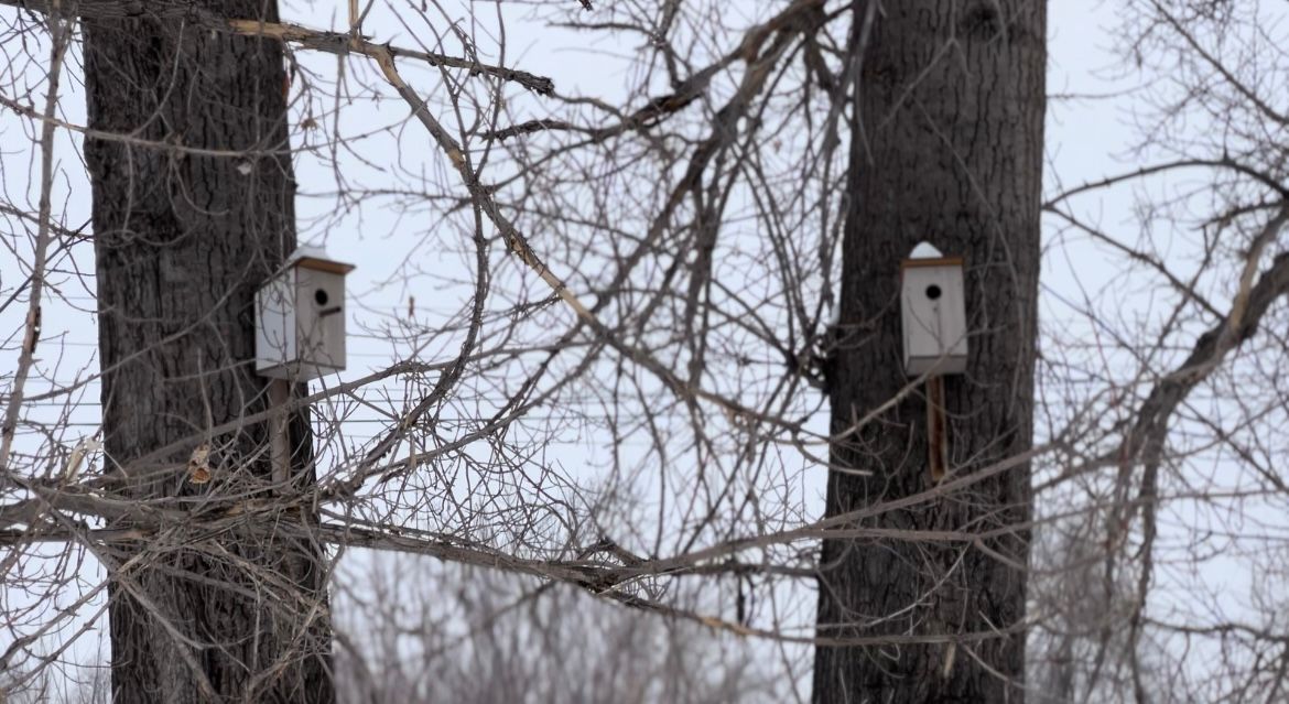 В области Абай прошла экологическая акция «Берегите природу»