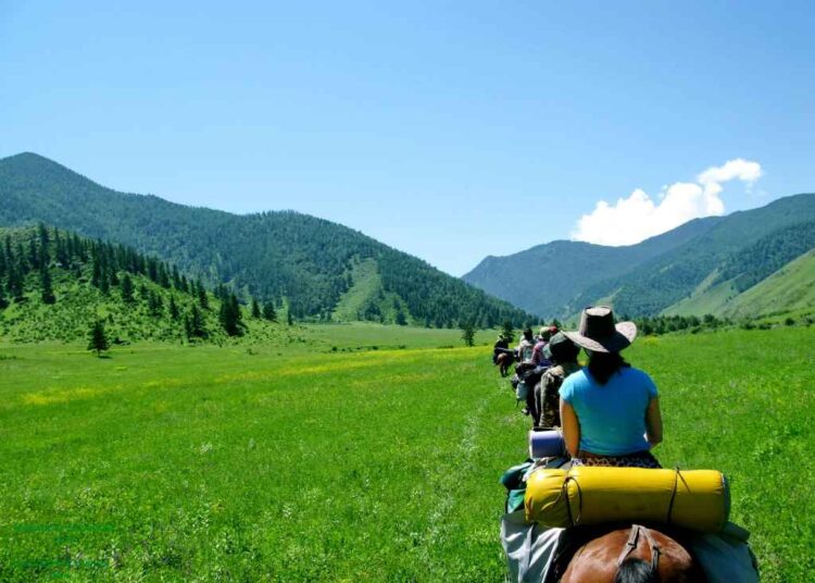 Министерство туризма и спорта представило событийный календарь культурно-туристских мероприятий на 2026 год