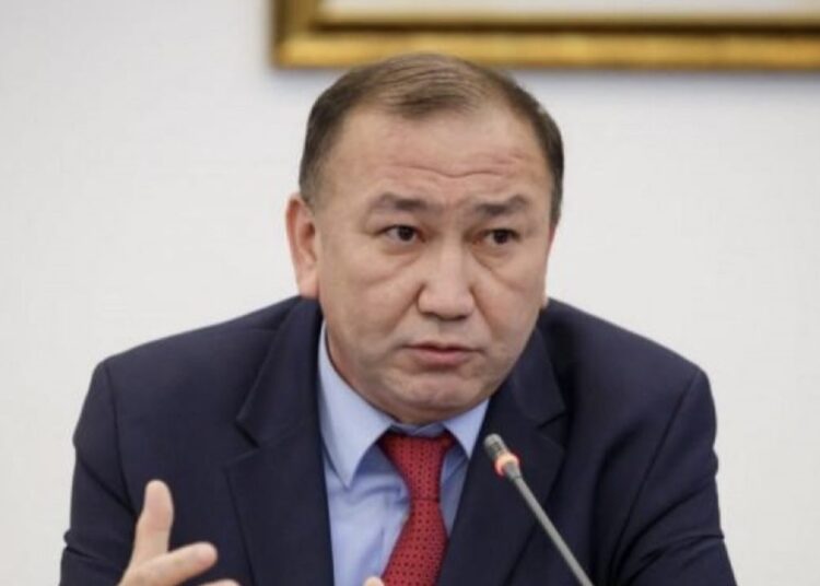 Конституционная реформа укрепит устойчивость политической системы и защиту прав граждан Казахстана