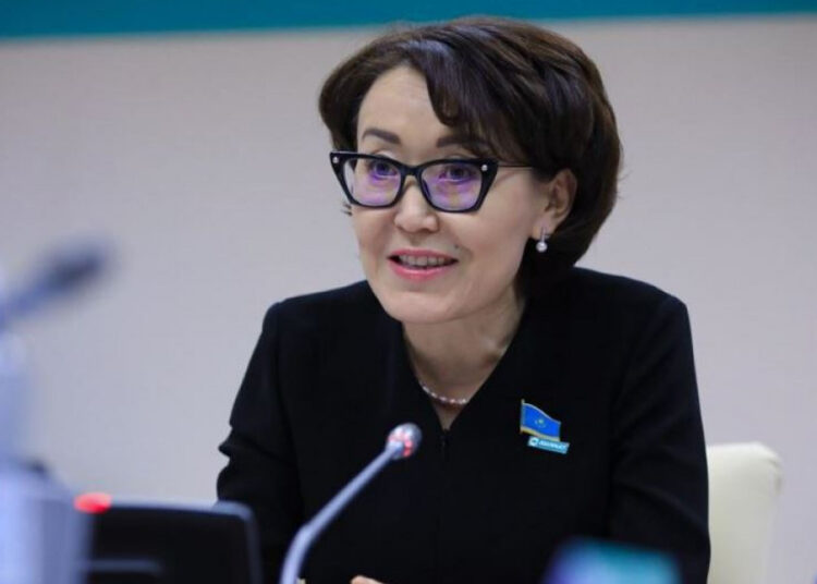 Это не просто редакционная правка – Унзила Шапак об обновлении преамбулы Конституции