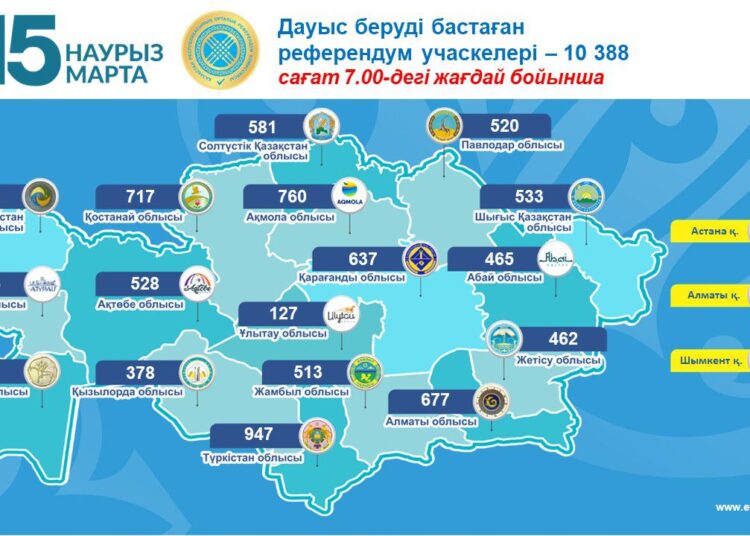 Голосование без границ: Центральная комиссия референдума озвучила основные цифры по работе участков для голосования