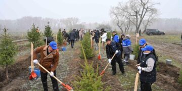 Представители фонда «Самрук-Казына» приняли участие в акции по посадке деревьев в Семее