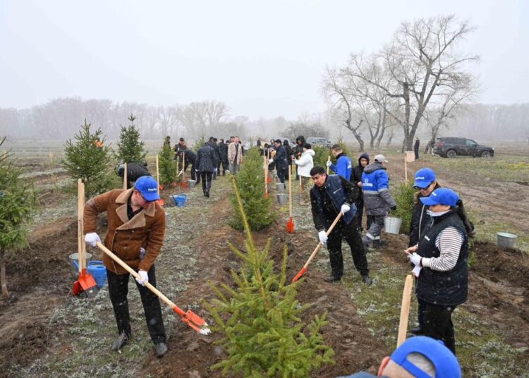 Представители фонда «Самрук-Казына» приняли участие в акции по посадке деревьев в Семее