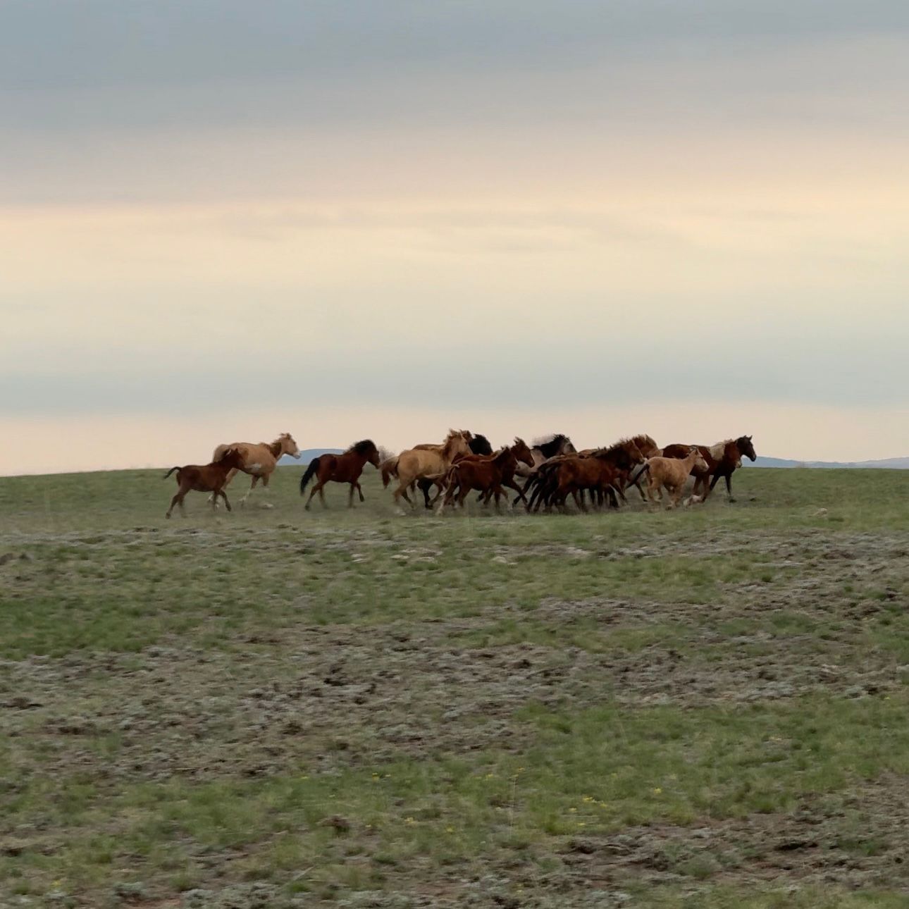 Импульс для села: в Абайском районе растет предпринимательство и открываются новые возможности