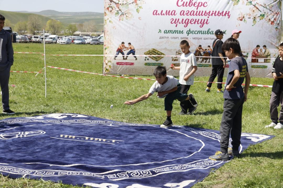 Фестиваль "Цветение яблони Сиверса" прошел в Жетісу
