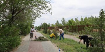 Более 130 жителей Курчатова вышли на уборку берега Иртыша в рамках экологической акции