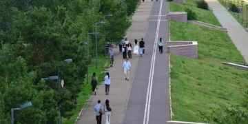 Более 70% казахстанцев готовы принять участие в выборах в Курултай – обзор соцопросов