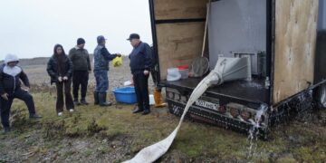 В реку Иртыш выпустили 22 тысячи мальков сибирского осетра