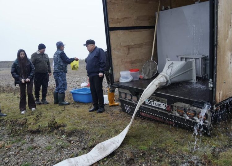 В реку Иртыш выпустили 22 тысячи мальков сибирского осетра